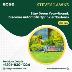 Expert Lawn and Irrigation Services