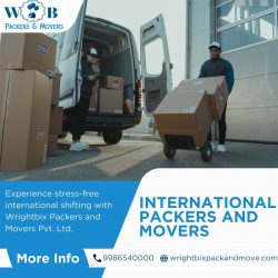 Master the Art of Seamless International Shifting with Wrightbix Packers and Movers Pvt. Ltd.