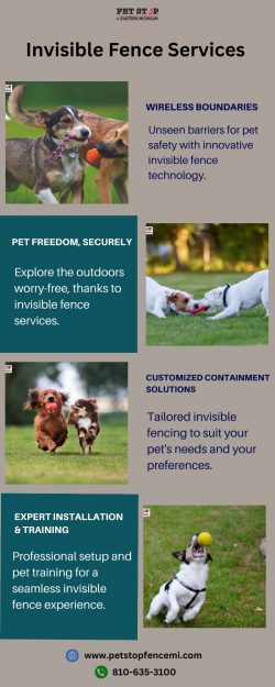 Secure Your Boundaries with Expert Invisible Fence Services