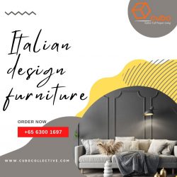 Elevate Your Space with Exquisite Italian Design Furniture