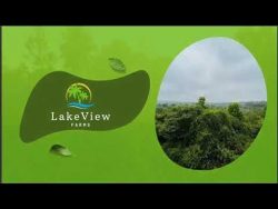 Grow Your Portfolio: Agriculture Land for Sale in Thally at Lakeview Farms.