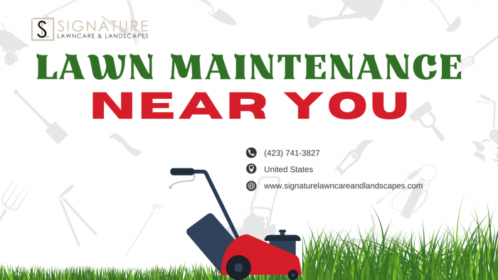 Exceptional Lawn Maintenance Near You by Signature Lawncare & Landscaping