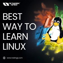 Learn Linux with Network Kings