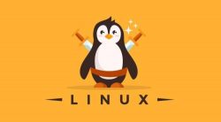 Join Our Linux Class in Delhi and Become a Linux Expert