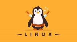Level Up Your IT Skills with Linux Online Training in Noida