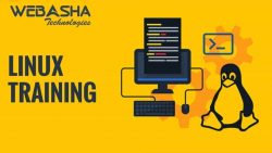 WebAsha Technologies Beginner-to-Advanced Linux Course in Noida