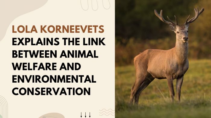 Lola Korneevets Explains The Link Between Animal Welfare And Environmental Conservation