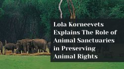 Lola Korneevets Explains The Role of Animal Sanctuaries in Preserving Animal Rights