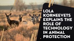 Lola Korneevets Explains The Role of Technology in Animal Protection