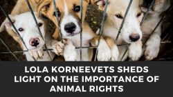 Lola Korneevets Sheds Light on the Importance of Animal Rights