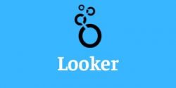 Looker Online Training course