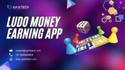 Best Ludo Money Earning App Develop with RG Infotech