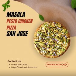 Masala Pesto Chicken Pizza San Jose