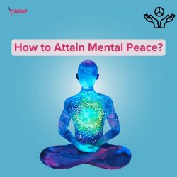 Finding Mental Peace: Strategies for Inner Harmony