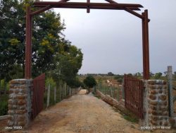Prime Investment Opportunity – Bangalore Agricultural Land for Sale