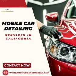 Mobile Car Detailing Services in California