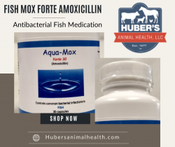 Control Fish Common Bacterial Infections