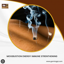 Moxibustion Energy Immune Strenthening