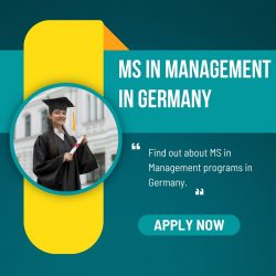 MS in Management in Germany