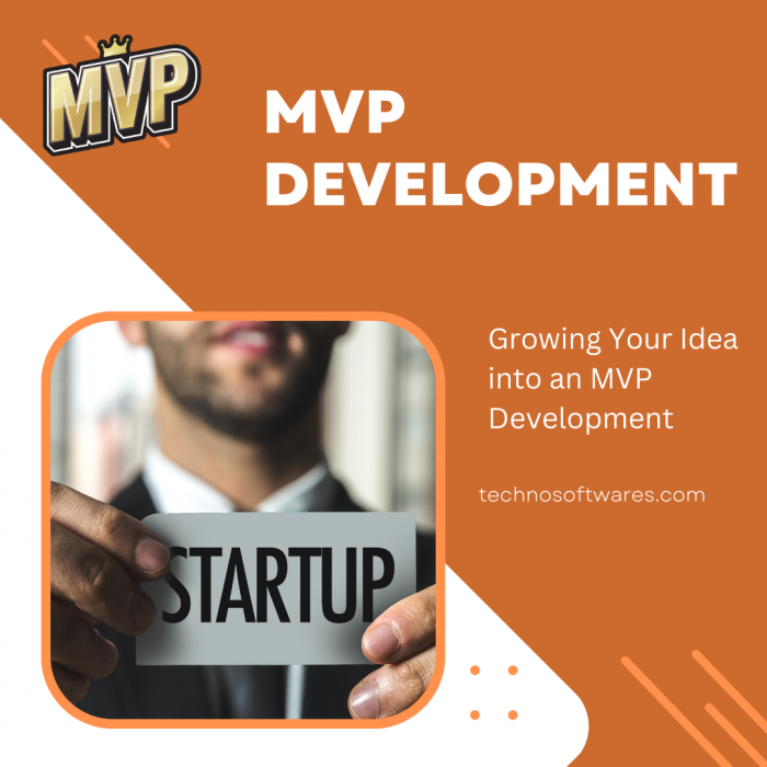 Growing Your Idea into an MVP Development