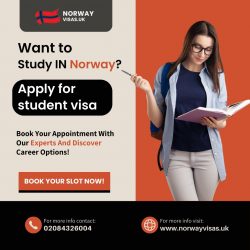 Apply Online Norway Tourist Visa From The UK – Guide
