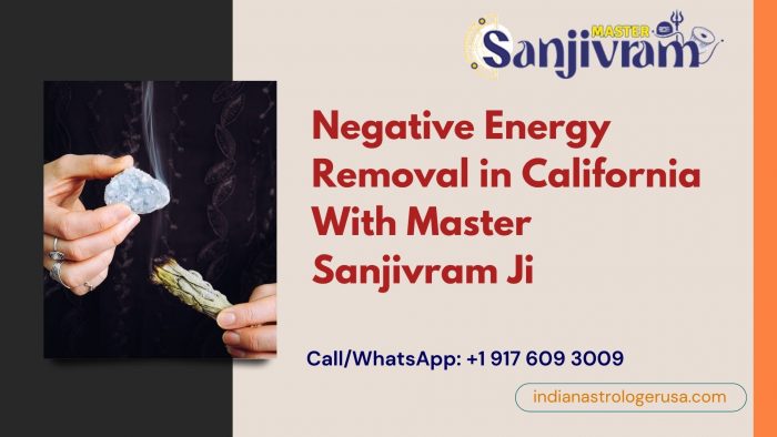 Negative Energy Removal in California With Master Sanjivram Ji