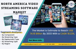 North America Video Streaming Software Market Growth, Size, Share, Revenue, Rising Trends, Chall ...