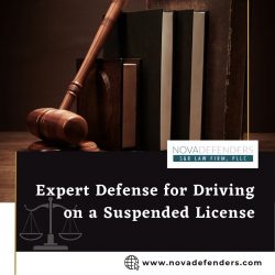 Expert Defense for Driving on a Suspended License