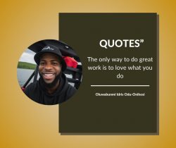 Oluwabunmi Idris Odu-Onikosi Shares Secrets to Doing Great Work