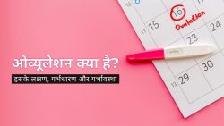 ओव्यूलेशन क्या है? (Ovulation Meaning in Hindi) इसके लक्षण, गर्भधारण और गर्भावस्था