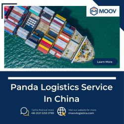 Panda Logistics Service In China