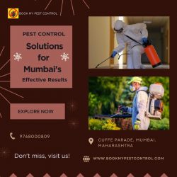 Pest Control Solutions for Mumbai’s Effective Results