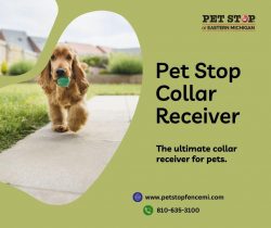 Enhance Pet Safety with Our Advanced Pet Stop Collar Receiver