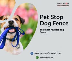 Secure Your Furry Friend with Pet Stop Dog Fence