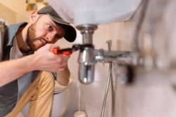 Plumber Dover Heights: Your Trusted Local Plumbing Company