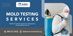Professional Mold Detection Services