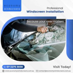 Professional Windscreen Installation Services: Economy Windscreens