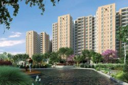 New Township Launch In Bangalore