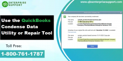 Repair QuickBooks Condense Data Errors [Latest Methods]