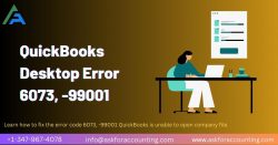 QuickBooks Error Code 6073, 99001
