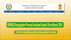 Rajasthan RSMSSB Stenographer and PA Grade-II Recruitment 2024 Apply Online