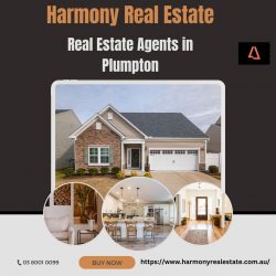 Real Estate Agents Plumpton