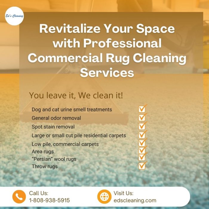 Revitalize Your Space with Professional Commercial Rug Cleaning Services