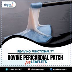 Reviving Functionality Bovine Pericardial Patch for Leaflets