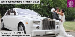 Hire Rolls Royce Wedding Rental in Dallas