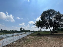 Managed Farmland Near Bangalore Await You – VasudhaKalpataru