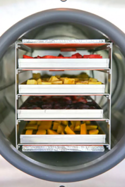 Exploring The Best Freeze Dryers for Food Preservation, wave