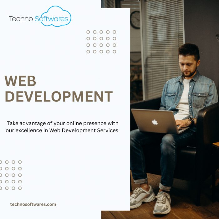 Excellence in Web Development in 2024