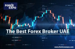 The Best Forex Broker UAE