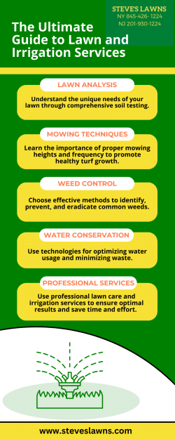 Expert Tips and Top-Rated Lawn Irrigation System